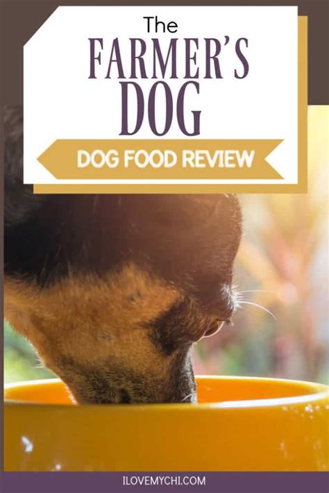 The Farmers Dog Dog Food Review - I Love My Chi