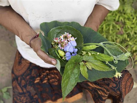 Two Michelin Starred Chef Syrco Bakker Set To Unveil Syrco Bas In Ubud