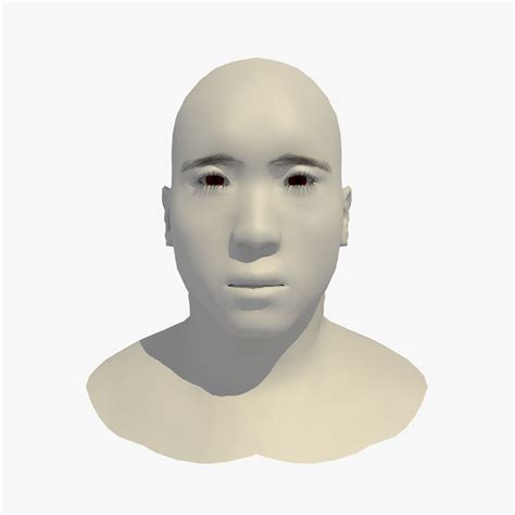 Rigged 45 Year Old Asian Male Base Head Mesh 3d Model 5 Fbx Dae C4d Free3d