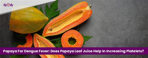 Papaya Leaf Juice For Dengue Fever Helps In Increasing Platelets