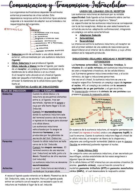 COMUNICACION CELULAR Y VIAS DE TRANSMISION INTRACELULARES Biologia CBC