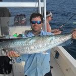 Tampa Bay Fish Species - Captain Matt Fishing Charters