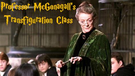 Harry Potter Transfiguration Class | Teaching Resources