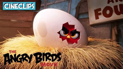 Angry Birds Terence The Hunter