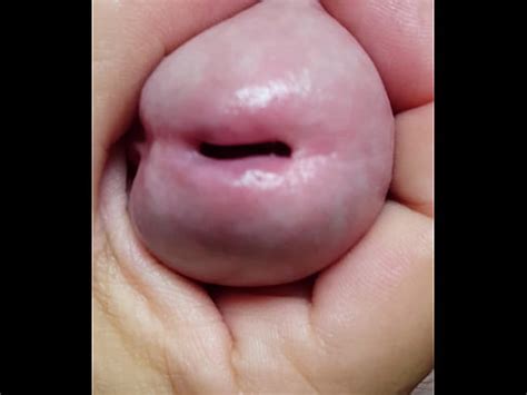 Pica linda durona empinada e cabeçuda XVIDEOS