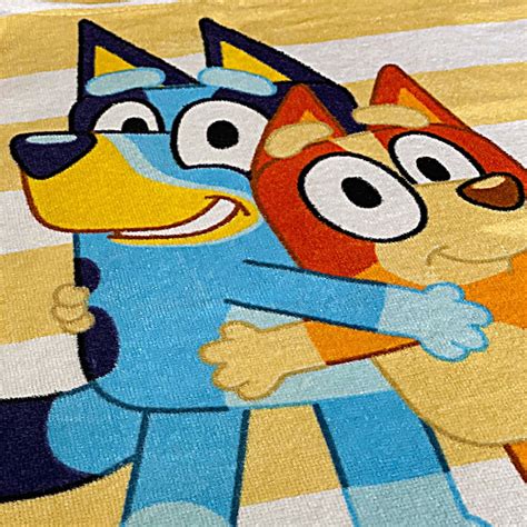 Bluey And Bingo Sisters Hooded Poncho Beach Towel Kids Swimming Bath