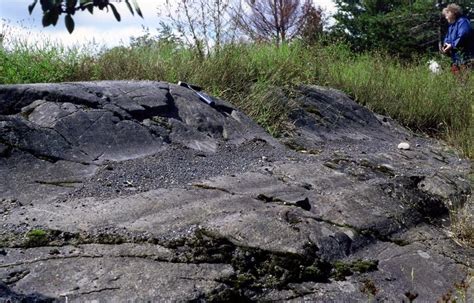 Fluidr Glacially Grooved Basalt Scales Creek Flow Portage Lake