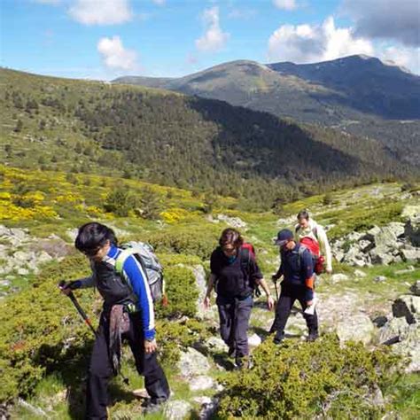 Senderismo En El Parque Nacional De Guadarrama Con Gu A Gu As Zona Centro