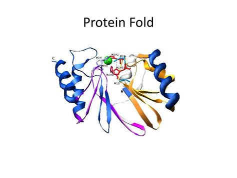 Metallo β Lactamase Ian Desmond ppt download