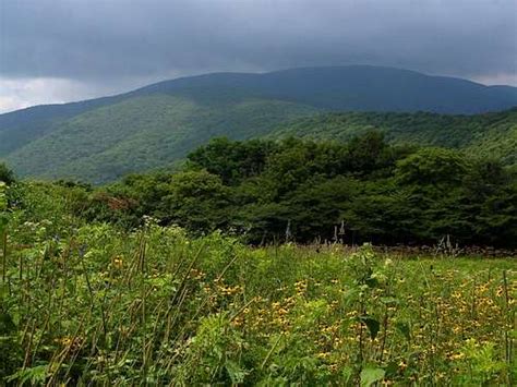 Big Yellow Mountain Climbing Hiking And Mountaineering Summitpost