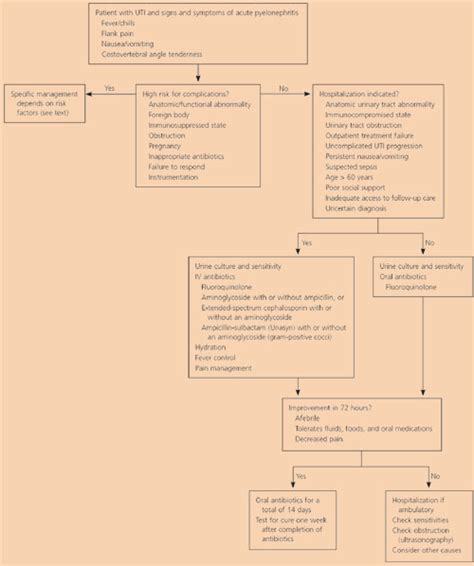 Diagnosis And Management Of Acute Pyelonephritis In Adults Aafp