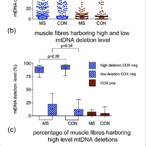 Level Of Mtdna Deletions In Single Laser Microdissected Muscle Fibres