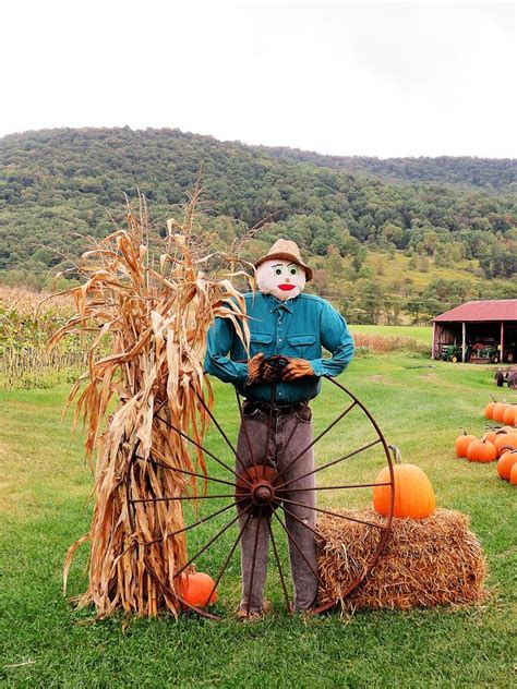 The Scarecrow In The Pumpkin Patch Photograph By Carol McGrath Pixels