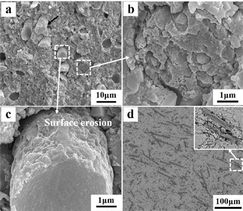 Sem Images Of A C Fracture Surface And D Polished Surface Of Zrb