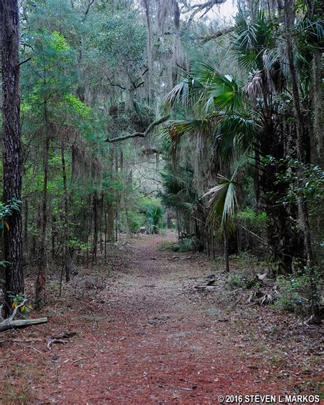 Cumberland Island National Seashore WILLOW POND TRAIL Bringing You