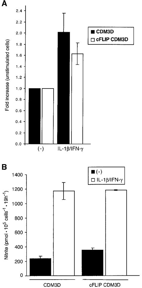 Recombinant Cflip Does Not Affect Inos Gene Transcription And No