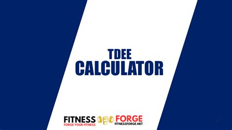 Tdee Calculator Discover The Top Method For Calculating Your Daily