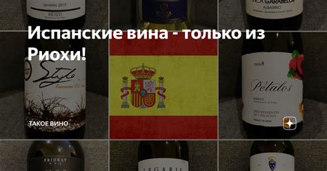 Испанские вина - только из Риохи! | Такое Вино | Дзен