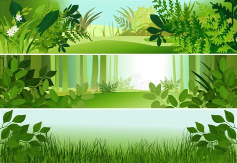 Three Forest Banners Stock Vector Illustration Of Natural 92099526