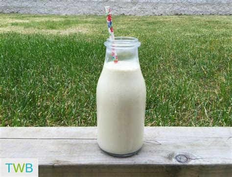 Peanut Butter Protein Smoothie - The Write Balance