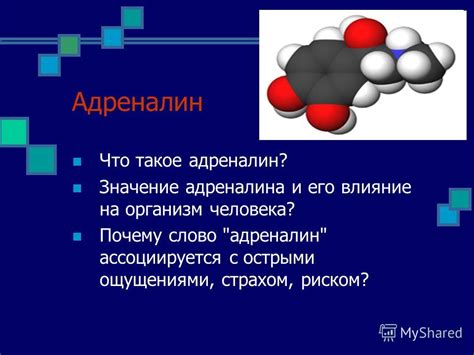 Презентация на тему: "Тема проекта: «Адреналин в нашей жизни ...