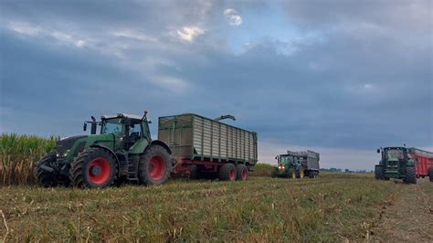 kukurydza na Kiszonkę 2022 ogieńAkcja na 4 zestawy Claas jaguar 950