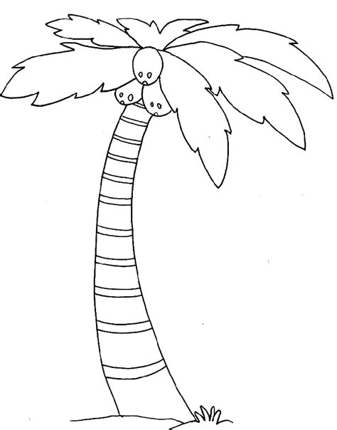 Palm Tree Template Coloring Home