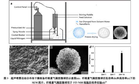 Schematic Diagram Of The Atomization And Spray Freeze Drying Process