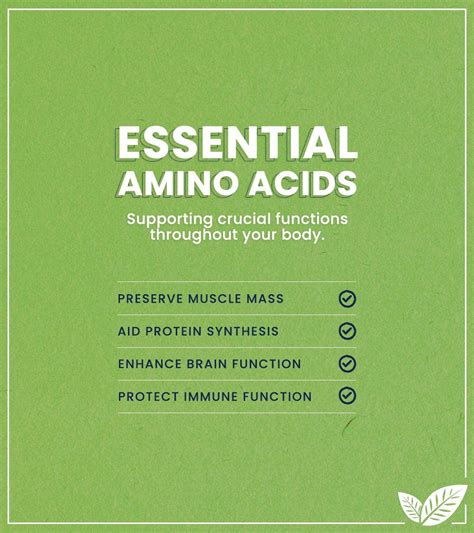 Essential Amino Acids What They Do And Why They Matter Previnex