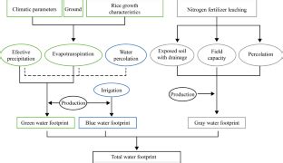 Water Footprint Of Irrigated Rice In The State Of Rio Grande Do Sul