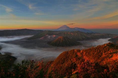 15 Fakta Menarik Taman Nasional Bromo Tengger Semeru Land Of Edelweiss