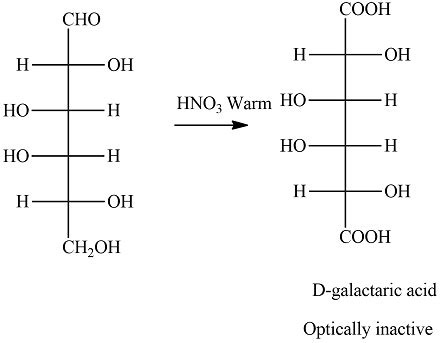 D Galactose Fischer Projection