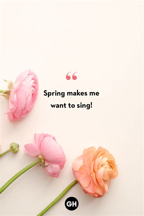 Flower Quotes For Instagram Captions Korry Mildrid