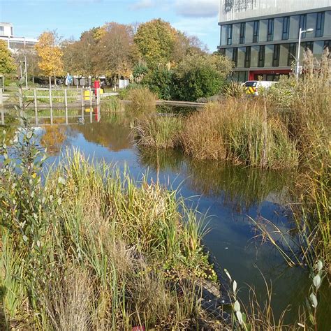 The pond – Grounds Department Blog