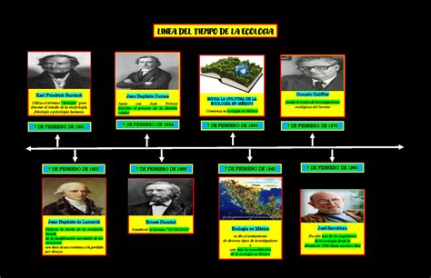 Linea De Tiempo De Los Antecedentes De La Ecologia Reverasite