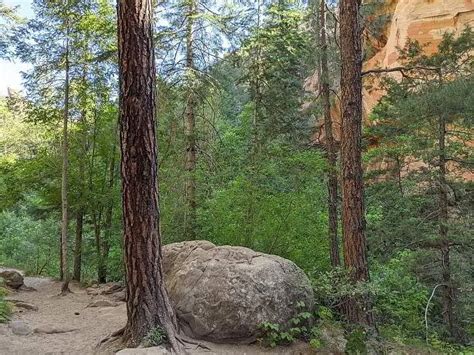 Best Oak Creek Canyon Hiking Trail West Fork Trail Details