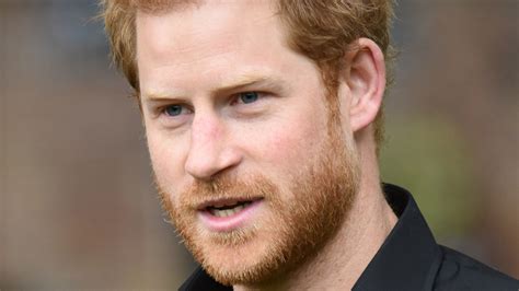 Princess Diana S Bodyguard Shares His Hot Take On Prince Harry S