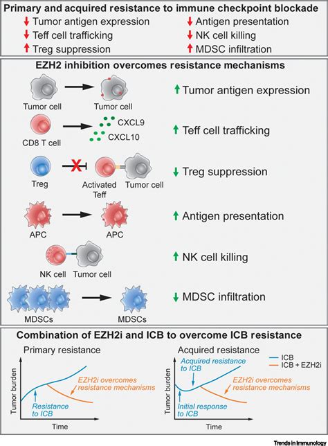 Overcoming Immune Checkpoint Blockade Resistance Via Ezh2 Inhibition