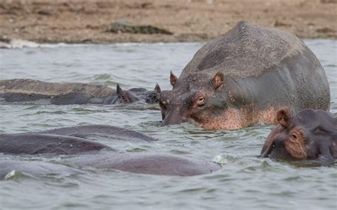 Kyambura Gorge Lodge In Queen Elizabeth National Park Uganda Luxus