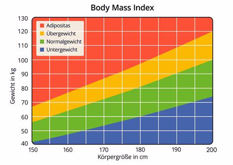 Bmi Rechner Body Mass Index Berechnen Und Verstehen