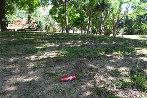 Fotos Falta De Mantenimiento En Los Parques Y Jardines De C Diz