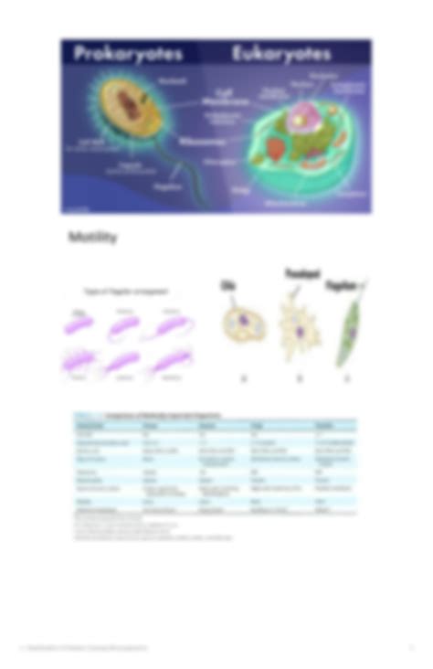 Solution Classification Of Disease Causing Microorganisms Studypool