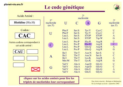 L Expression Du Patrimoine G N Tique Re Sp Cialit Svt Vive Les Svt