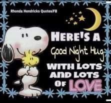 Pin By Momma Dmaz On Good Night Good Night Hug Good Night Funny