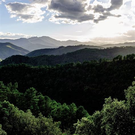 Les Cinq Massifs Parc National Des C Vennes