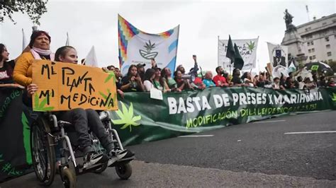 Un Reclamo Que Se Planta Contra El Prohibicionismo Marcha Mundial De