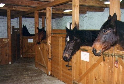 Stajnia Pod Lasem Noclegi Agroturystyka Turystyka Wypoczynek Oraz