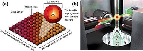 Suspension Bead Based Array Luminex Xmap System Consists A Panel Of