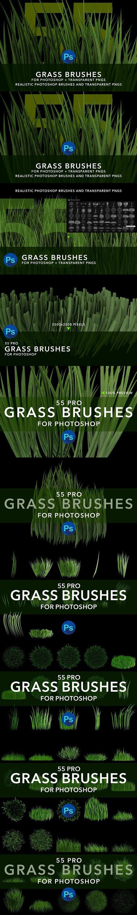 Ms Grass Brushes Brush Grass Photoshop Brushes