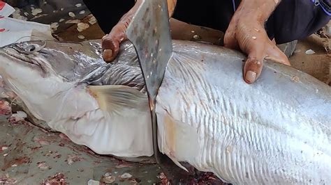 Giant Wallago Attu Boal Fish Cutting Live In Fish Market Fish Cutting